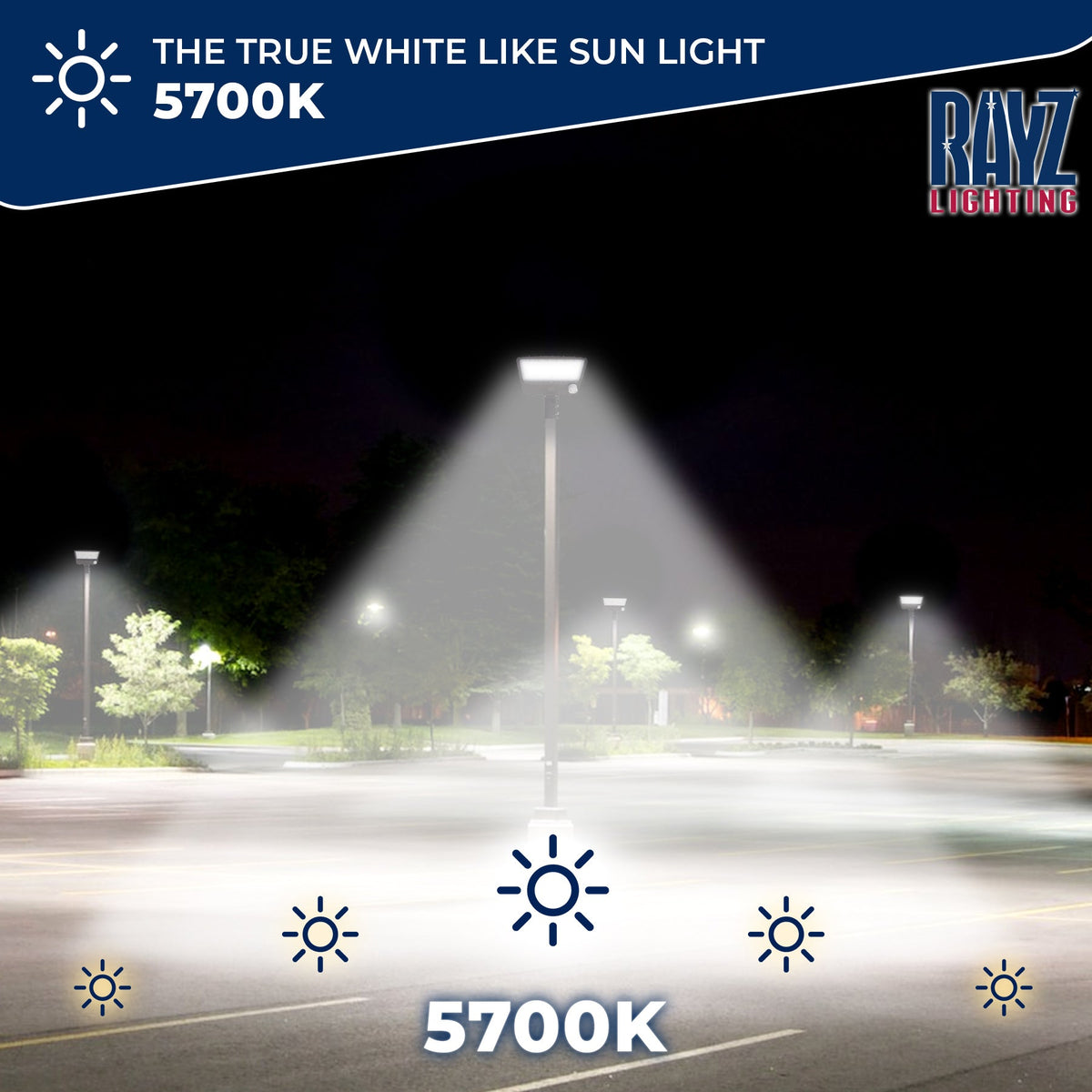 200W LED Shoebox Area Light - Parking Lot/Street Light