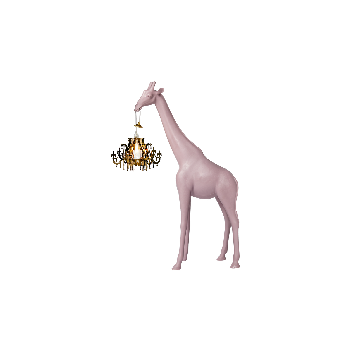زرافة في الحب داستي روز XS