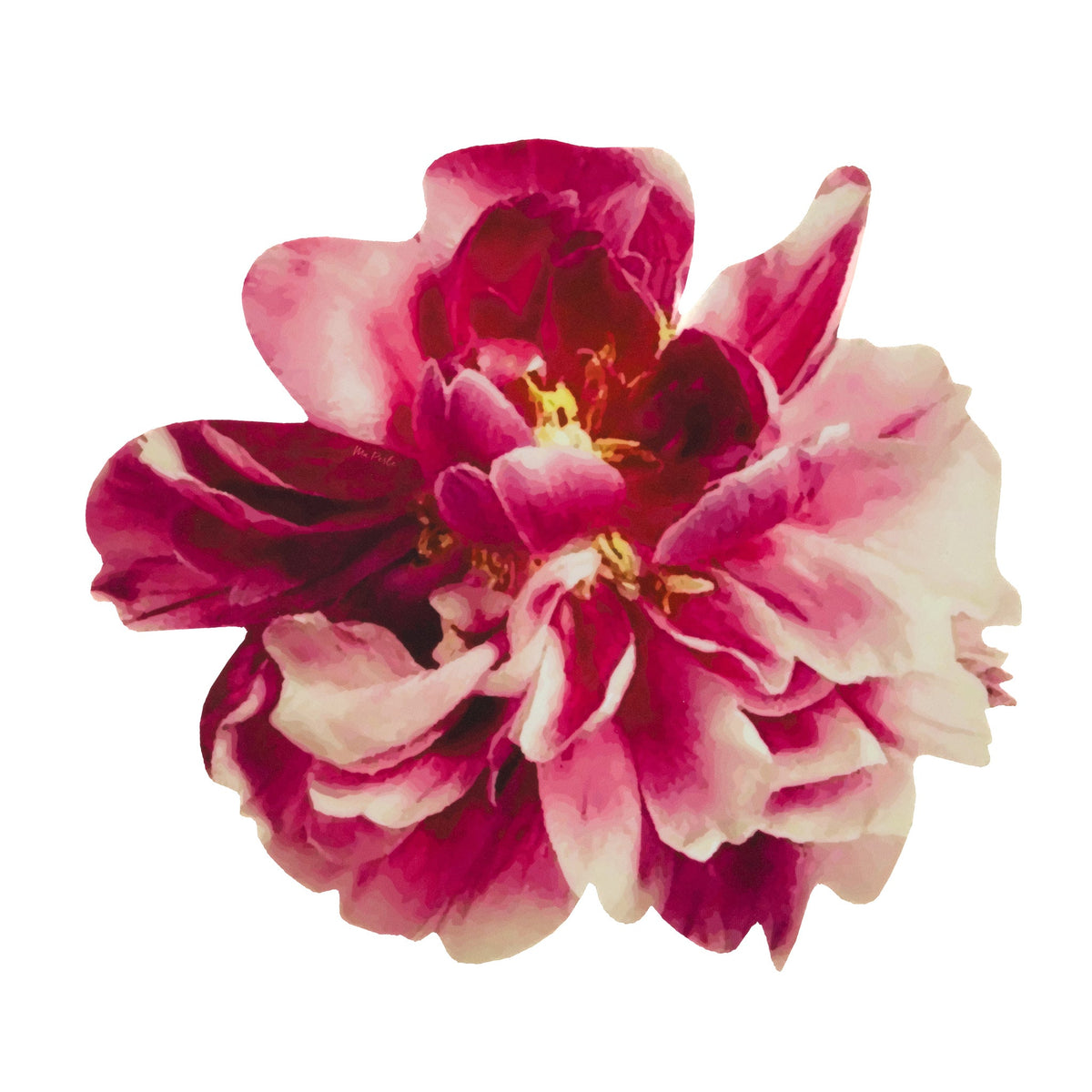 Round Placemat Peonies Maroon