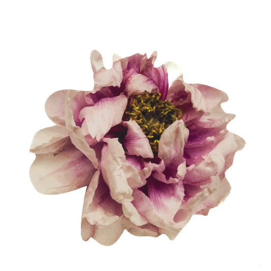 Round Placemat Peonies Light Maroon