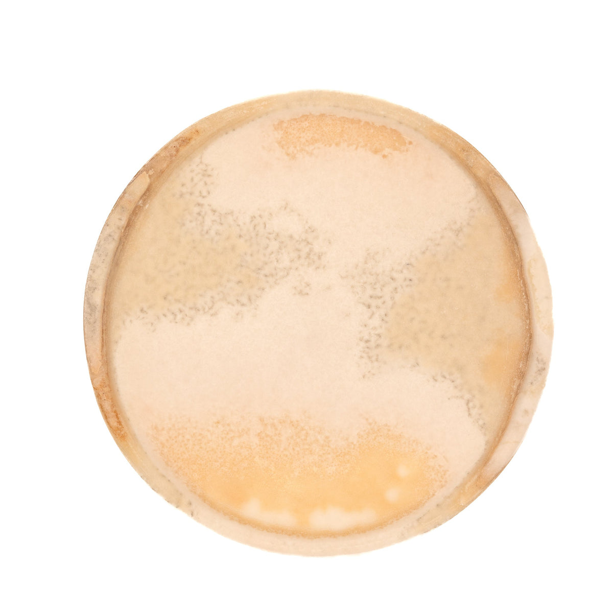 Neutral Alabaster Footed Stand