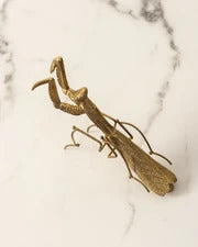 Decorative Insect Figurine - Grasshopper
