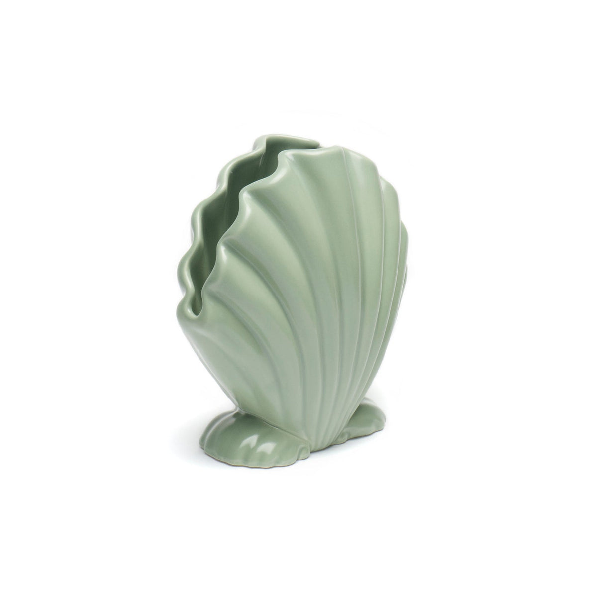 Shell Vase