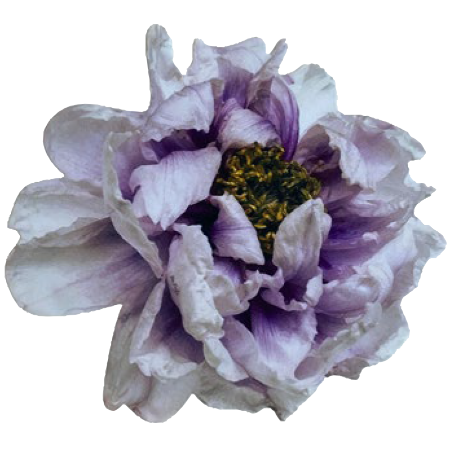 Round Placemat Peonies Purple