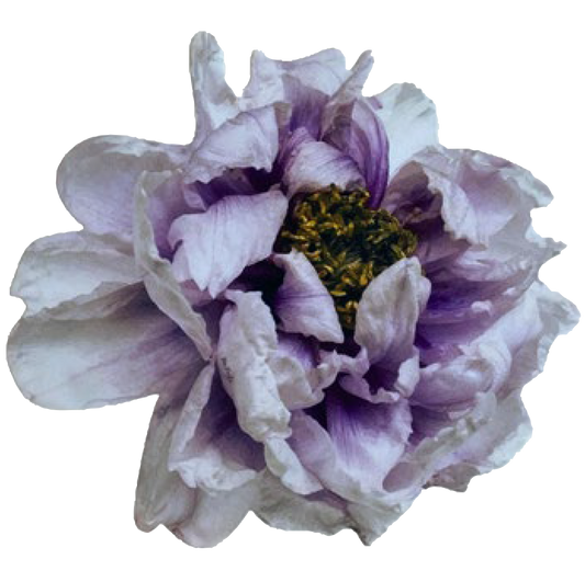 Round Placemat Peonies Purple