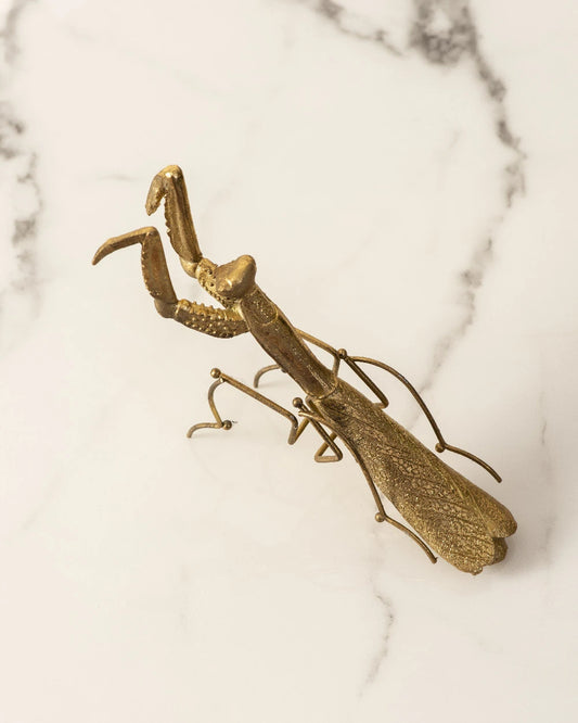Decorative Insect Figurine - Grasshopper